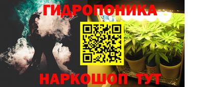 a pvp Пенза
