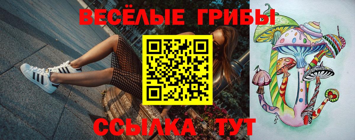 Галлюциногенные грибы MAGIC MUSHROOMS  Вход с VPN  Сертолово  Псилоцибиновые грибы Magic Shrooms 