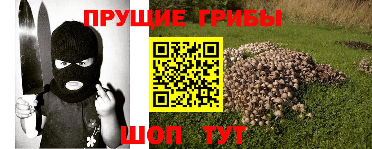 Галлюциногенные грибы Cubensis Сертолово